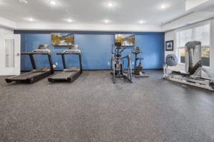 A fitness room with treadmills, exercise bikes, and weight machines. The room has a blue accent wall with two landscape photos and bright overhead lighting. Large windows on one side allow natural light to enter the space. Rubber flooring covers the entire area.